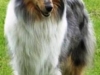 Karma, Seamist Heavenly Sky, 1 år i maj 2007