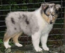 Karma, Seamist Heavenly Sky, 7 veckor i maj 2006