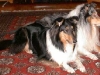 Tessie och Marco